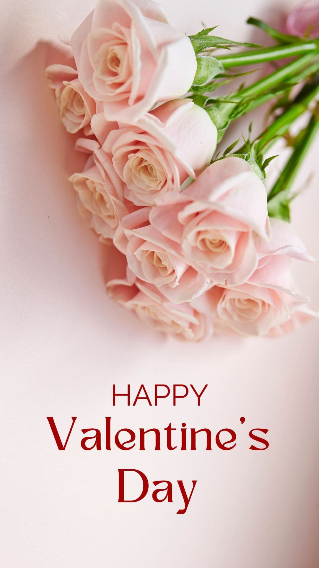 Flowers Happy Valentine's Day IPhone Wallpaper Min