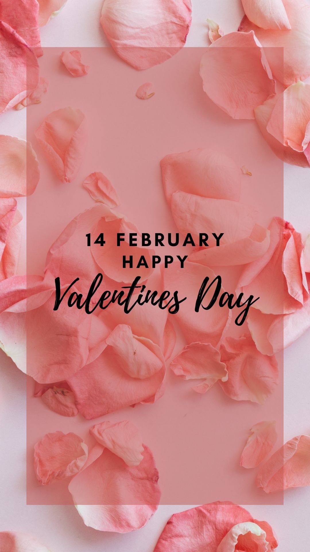 Pink Rose Petals Valentine's Day Iphone Wallpapers Min