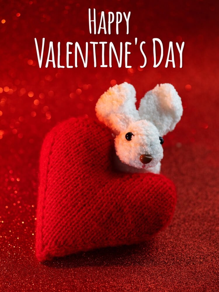 valentine day wallpaper for iphone