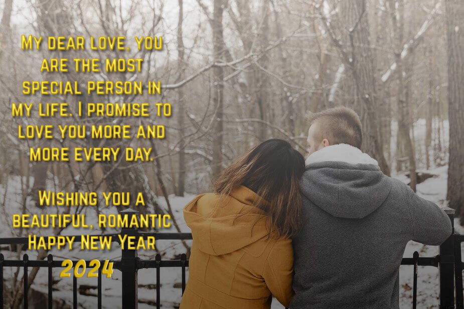 Happy New Year 2024 Wishes For Girlfriend Wife
