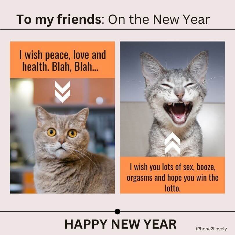 Funny New Year 2024 Memes Rori Wallis
