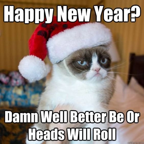 2024 Happy New Year Cats Meme With Image Download