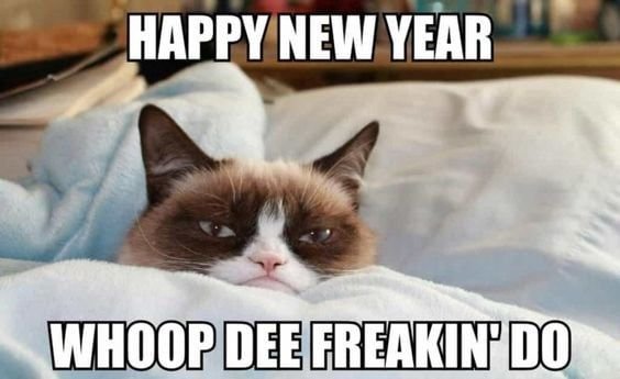 2024 Happy New Year Cats Meme With Image