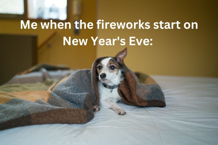 Funny Dog Meme Happy New Year