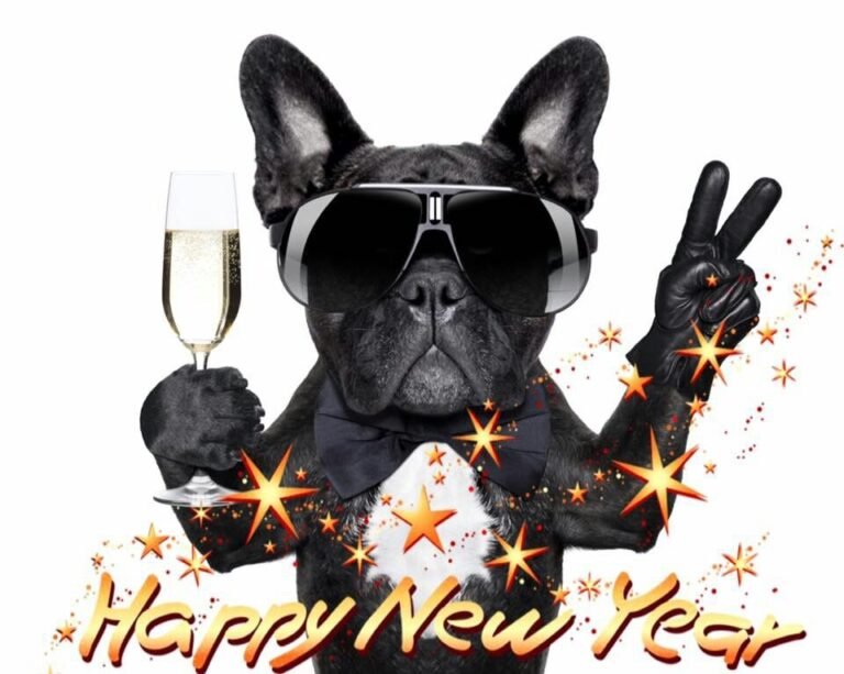 100 Happy New Year 2025 Dog Images Quotes and Memes iPhone2Lovely