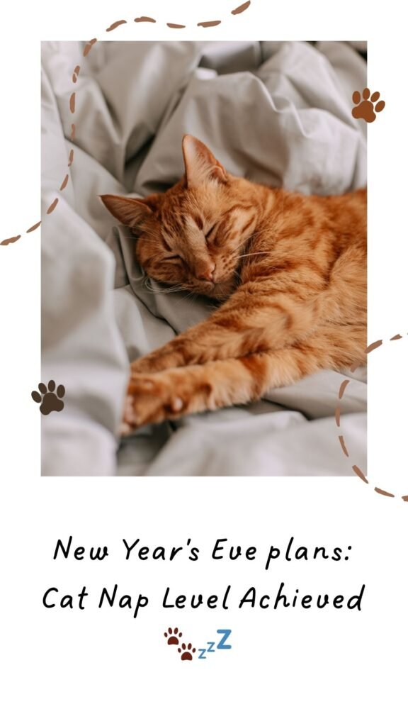 80 Happy New Year Cat Images, GIFs and Memes (2025) iPhone2Lovely