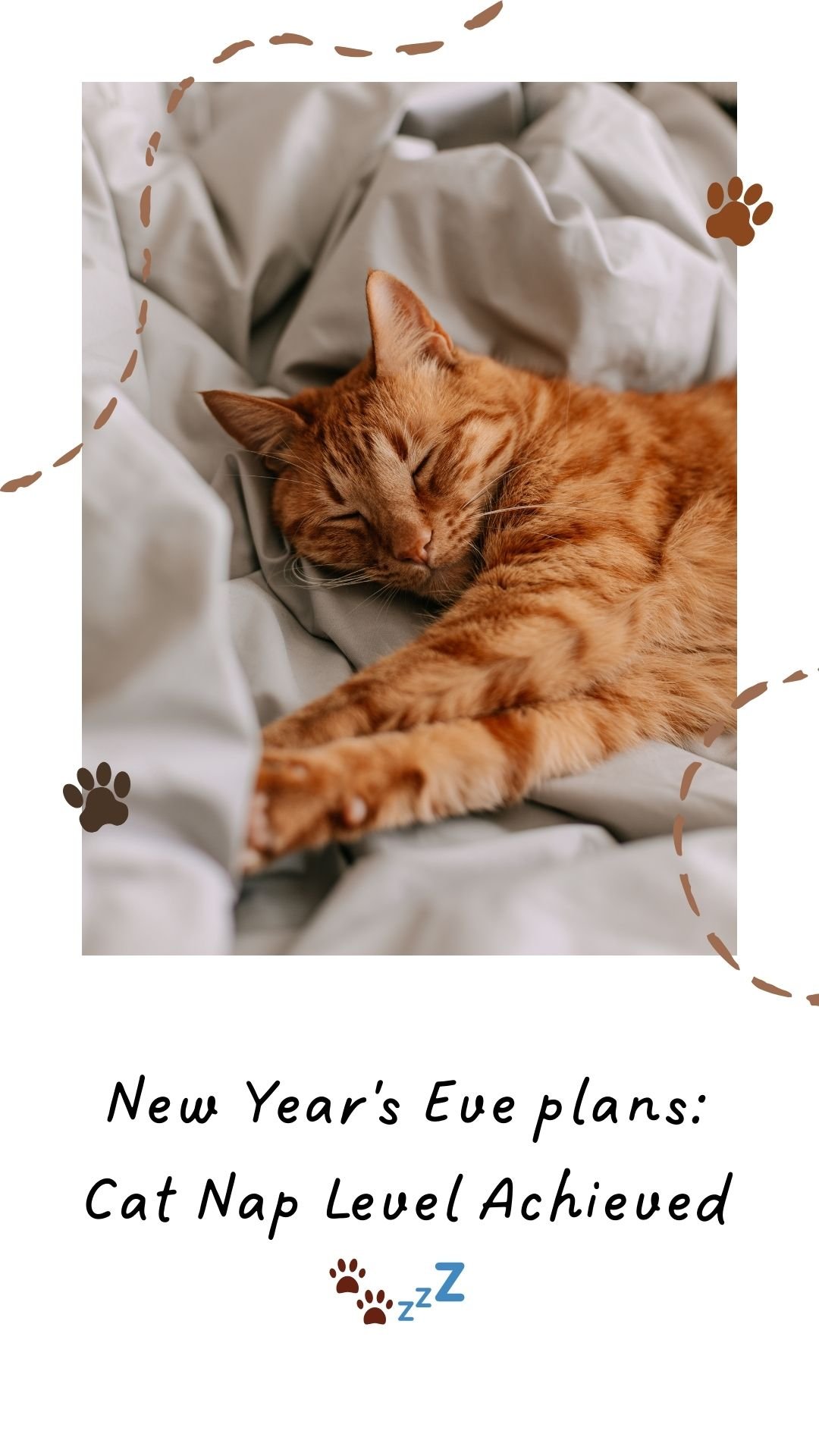 Happy New Year Cats Meme 2024 With Image