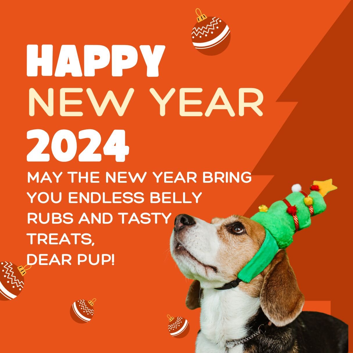 Happy New Year Wishes For My Dog 2024