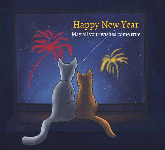 Happy New Year For Cats 2024 Gif