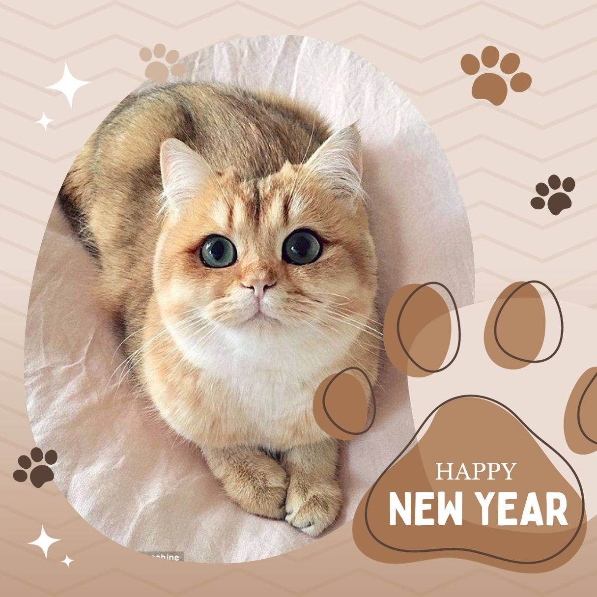 Happy New Year For Cats With Image
