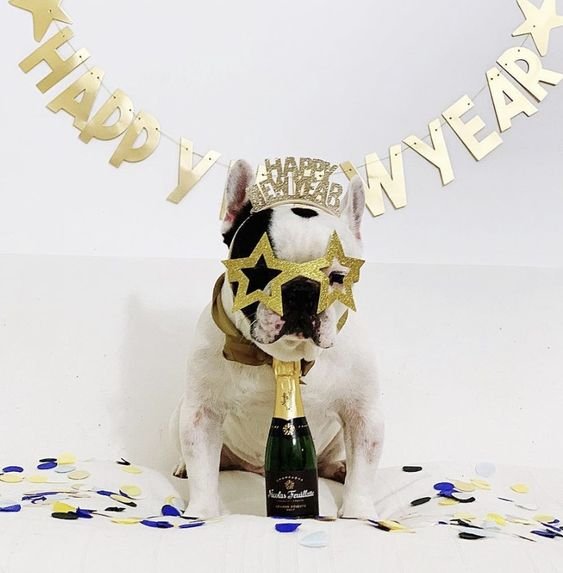 Happy New Year For Dogs 2024 Image