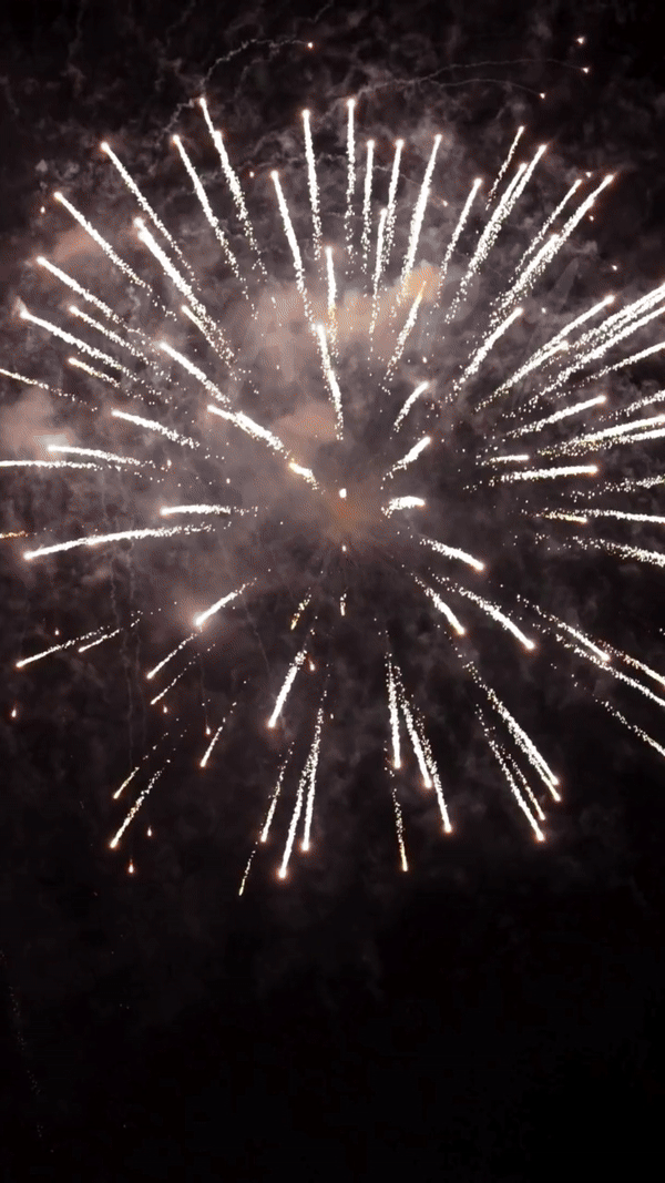 New Year 2025 With Firework Gifs