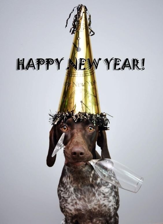 Happy New Year Dogs Images 2024