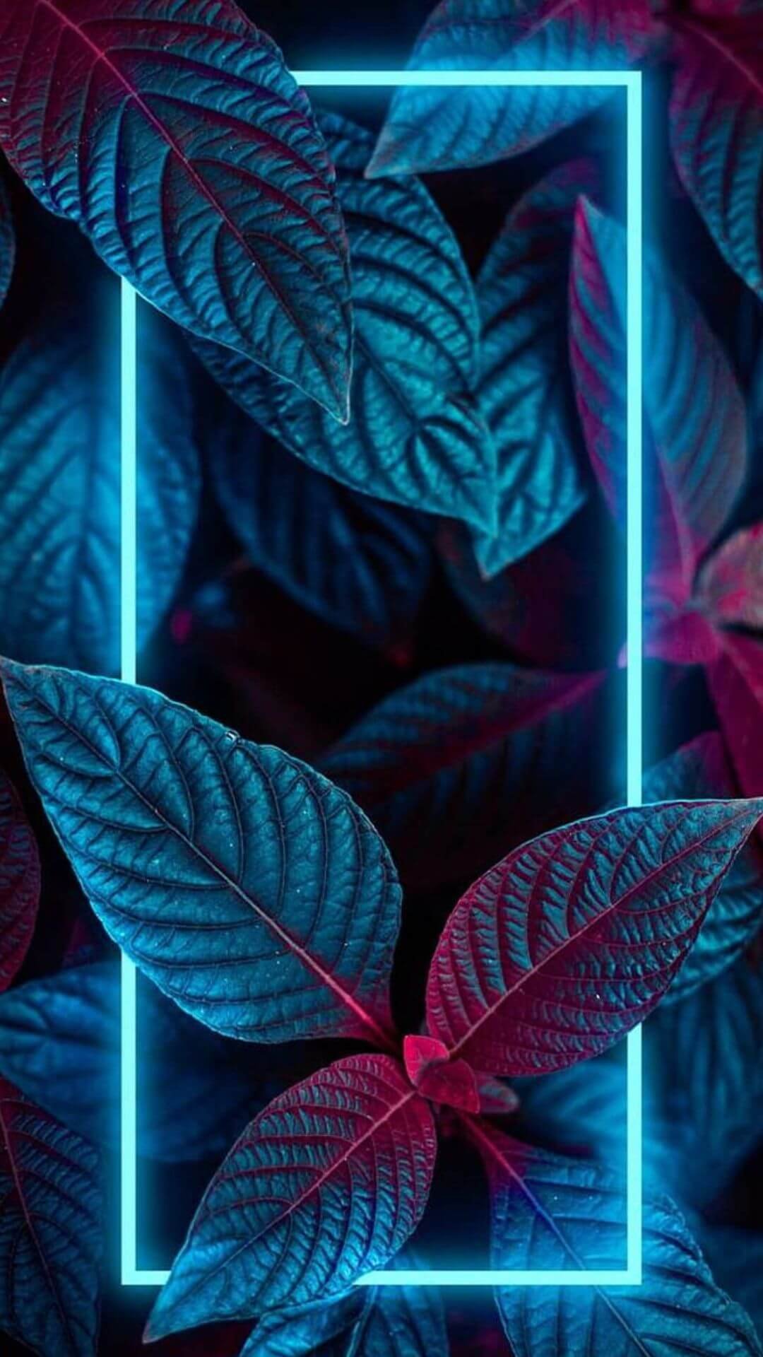 Neon Old Iphone Wallpapers